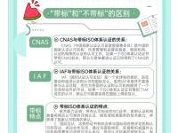 iso和sap的区别 sap和sop分别是什么 