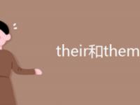 theythemtheir的区别 theirtheythem什么区别 