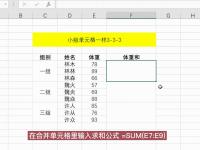 单元格表格区别 表格和单元格区别 