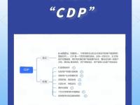 CDP和CDP区别 cdp cdm 区别 