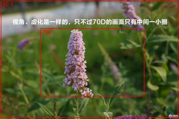 全幅半幅区别