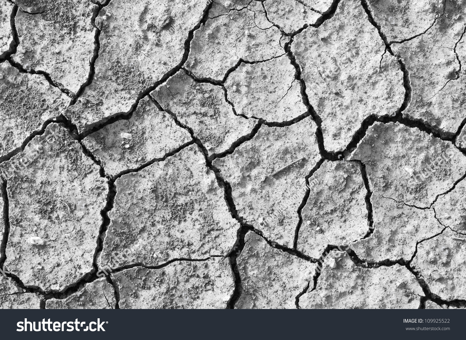 drought与dry的区别 dry out 和dry off的区别 