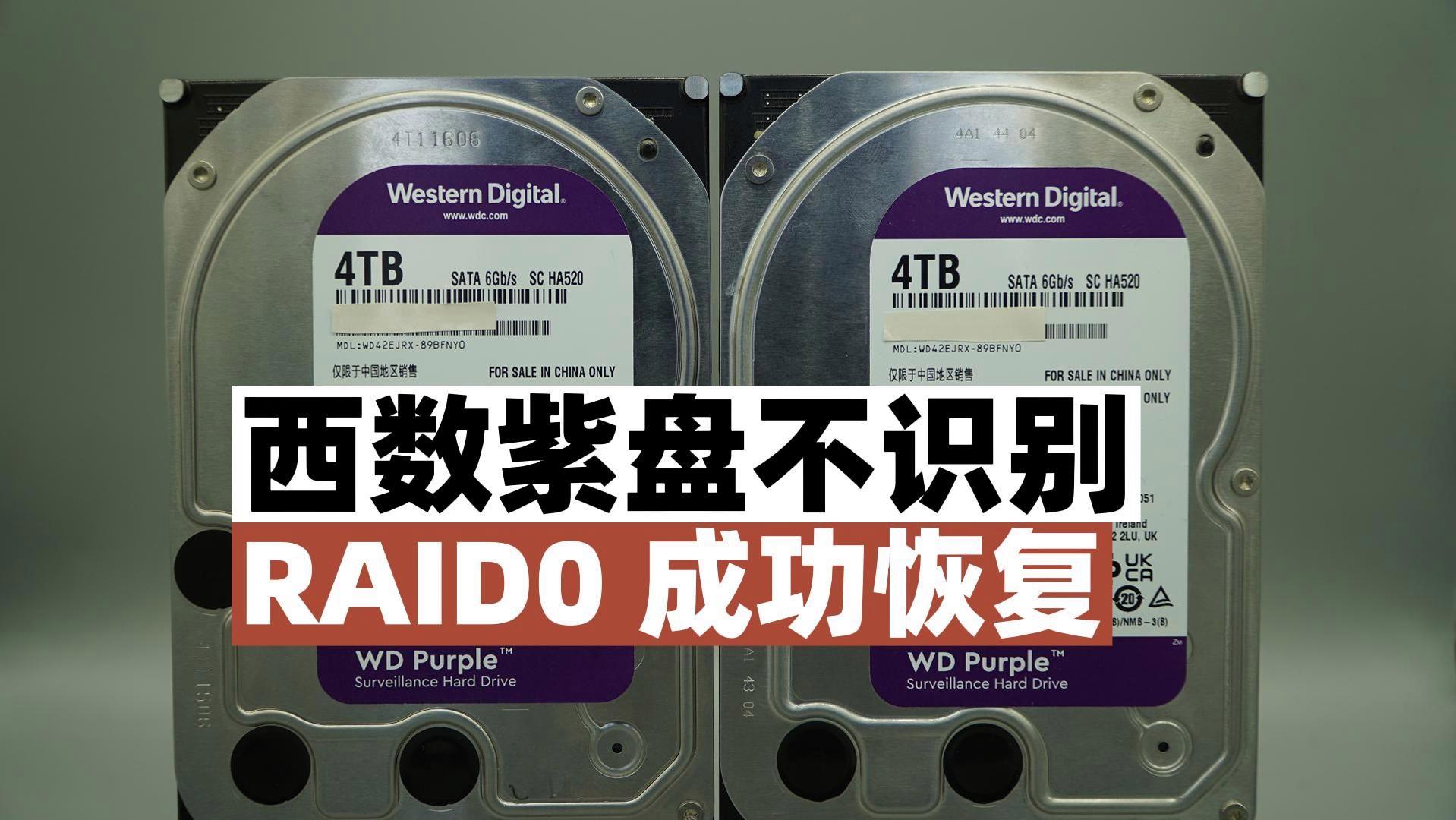 西数紫盘区别 chia 西数紫盘 