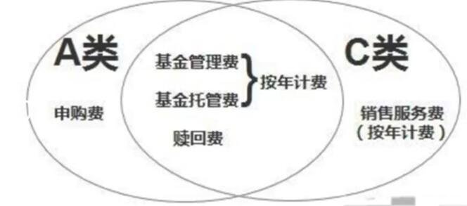 c中和的区别 c中和的区别是什么 
