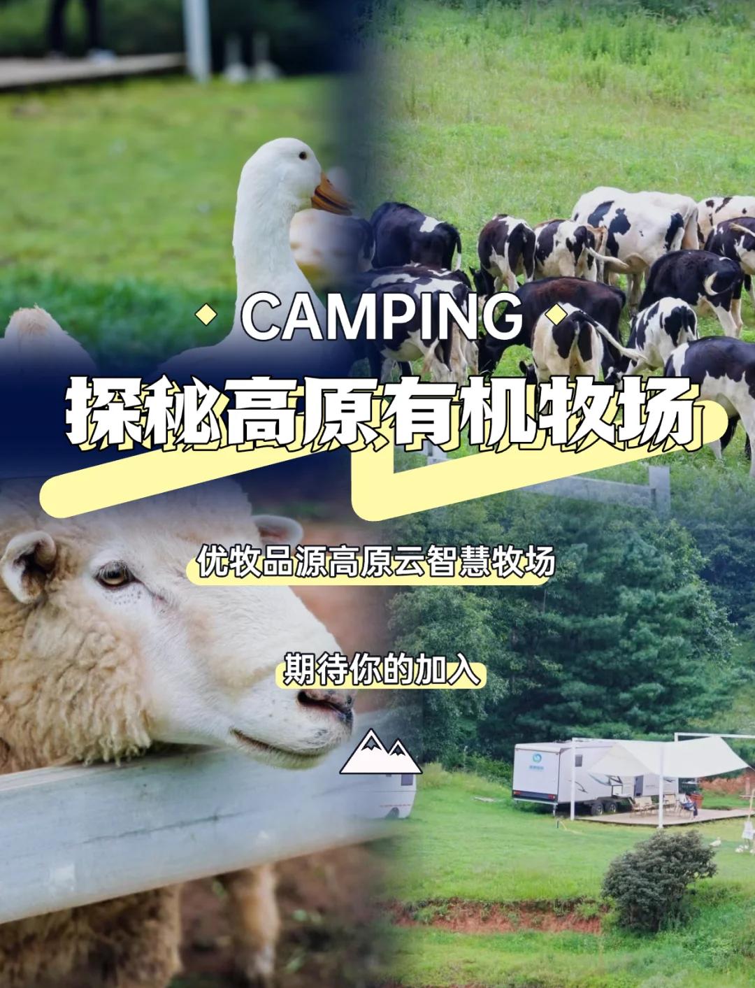 牧场和农场的区别 牧场和畜牧场有什么区别 
