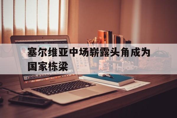 包含塞尔维亚中场崭露头角成为国家栋梁的词条